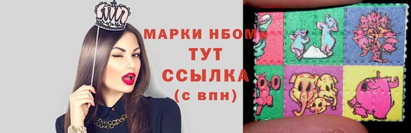 ГАЛЛЮЦИНОГЕННЫЕ ГРИБЫ Гусь-Хрустальный