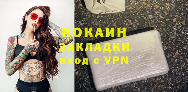 ГАЛЛЮЦИНОГЕННЫЕ ГРИБЫ Гусь-Хрустальный