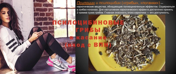 ГАЛЛЮЦИНОГЕННЫЕ ГРИБЫ Гусь-Хрустальный