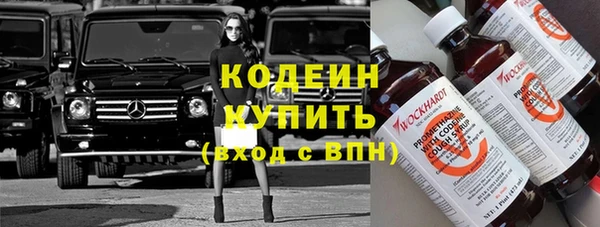 ГАЛЛЮЦИНОГЕННЫЕ ГРИБЫ Гусь-Хрустальный