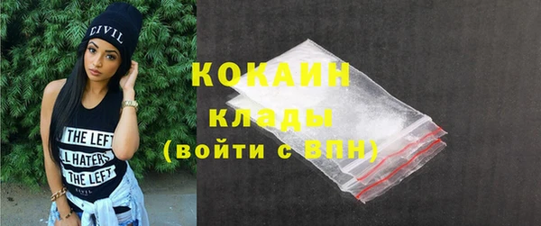 ГАЛЛЮЦИНОГЕННЫЕ ГРИБЫ Гусь-Хрустальный