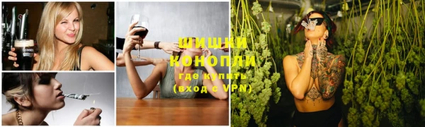 ГАЛЛЮЦИНОГЕННЫЕ ГРИБЫ Гусь-Хрустальный
