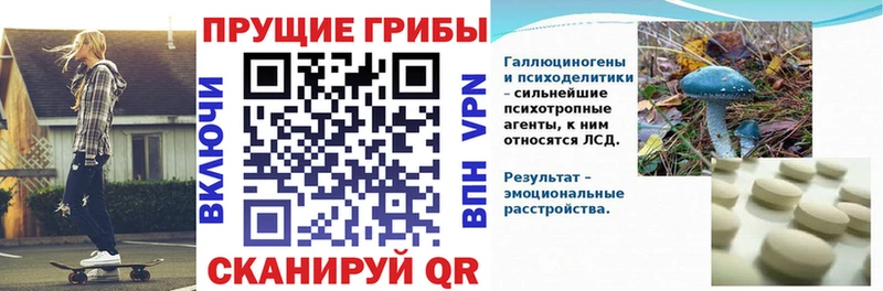 Псилоцибиновые грибы Psilocybine cubensis  Купить где  Называевск 